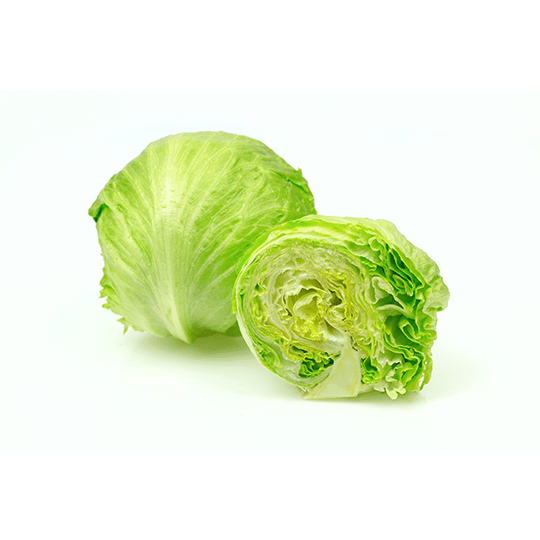 iceberg lettuce zaad farms